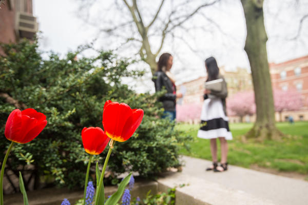 Two students talking in distance; close up of red tulip